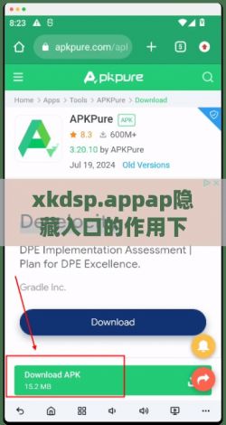 xkdsp.appap隐藏入口的作用下载-什么是dspv2.5.9最新版